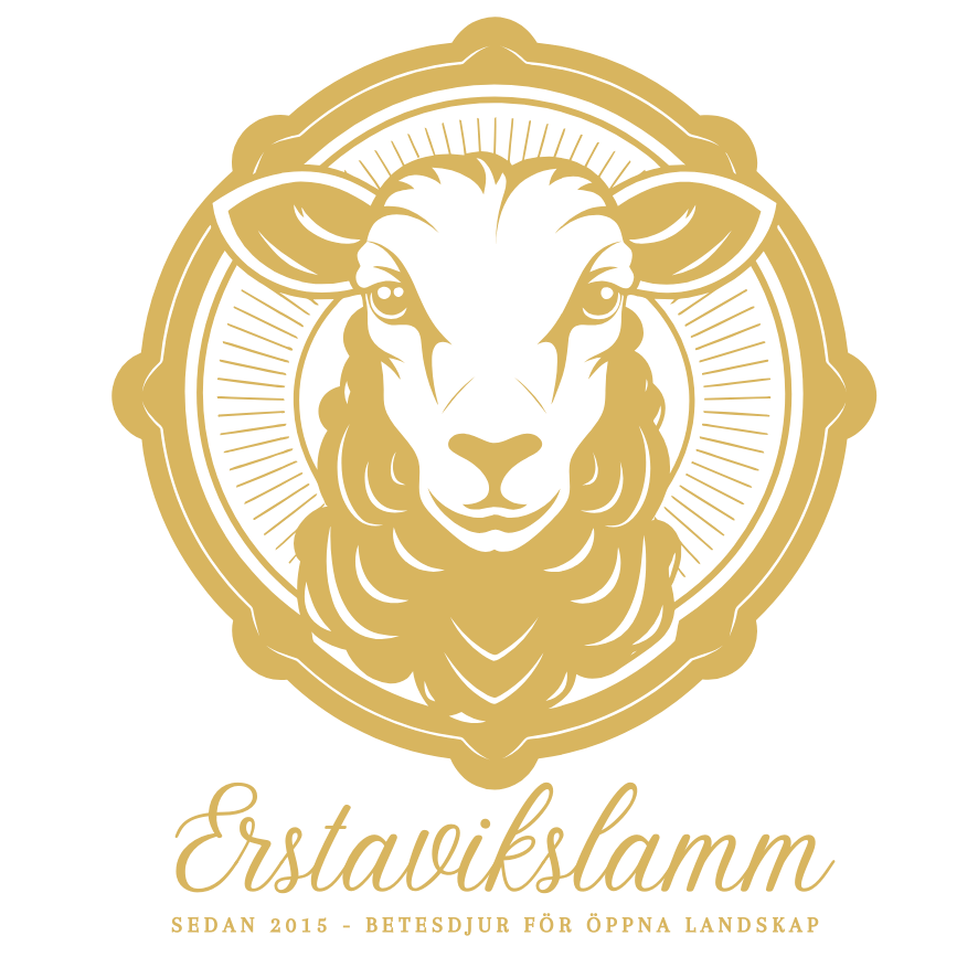 Erstavikslamm